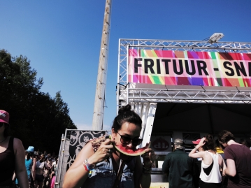 Homo Festivalicus: Pinkpop Festival 2014